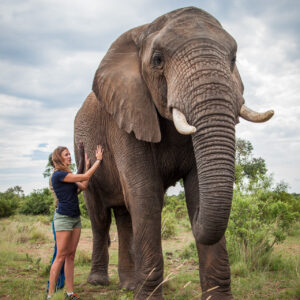 Nature Walk & Elephant Interaction - Image 6